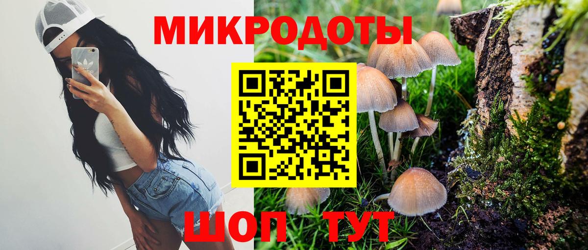 Псилоцибиновые грибы Psilocybine cubensis  Вход с VPN  Сосновоборск 